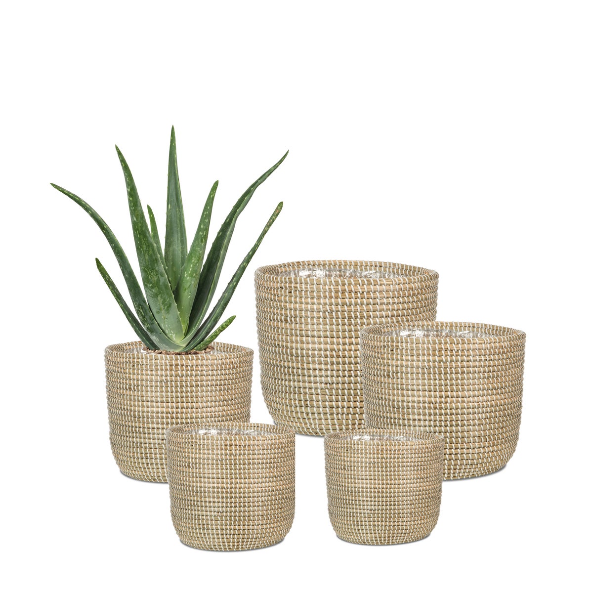 Scheurich Seagrass 17, plantenbak/mandpot van zeegras, kleur: wit, 17 cm diameter, 16 cm hoog, inhoud 3,5 l.