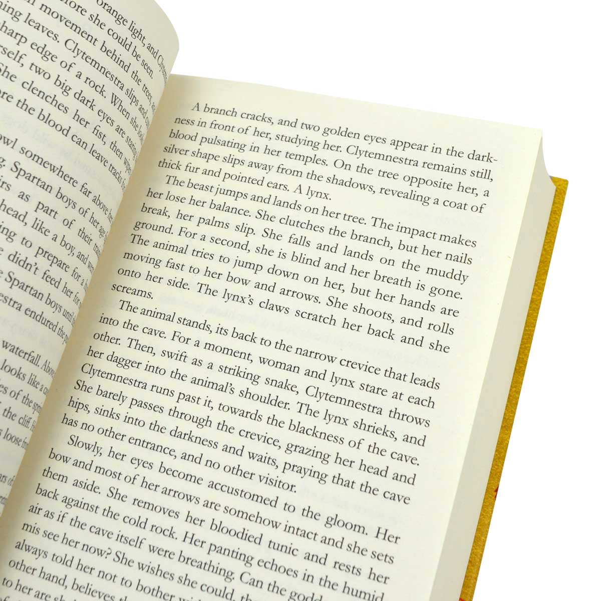 Clytemnestra (Hardback)