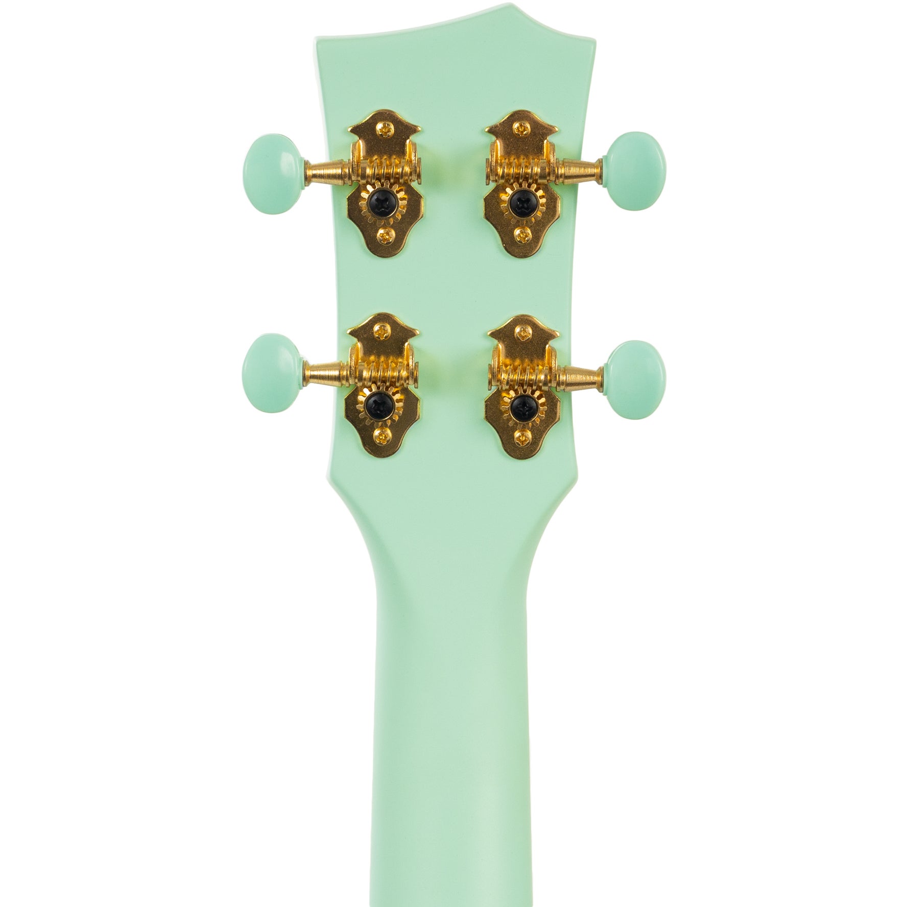 Cascha HH 2287 carbon fiber concert ukelele set mintgroen