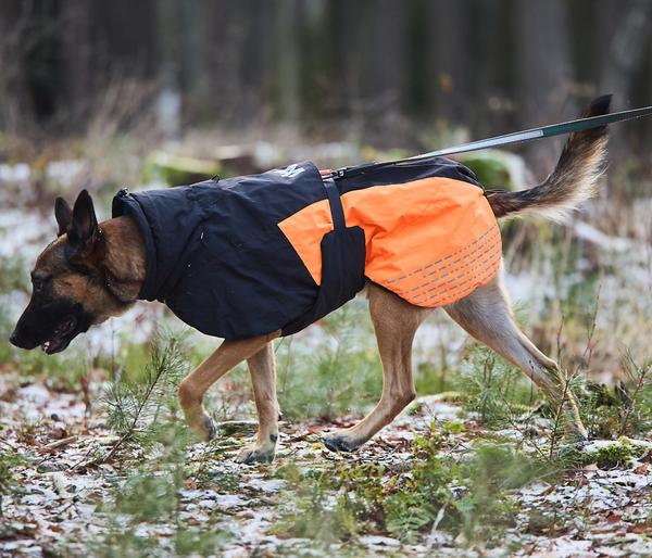 Non-stop dogwear Hunde-Wintermantel Glacier