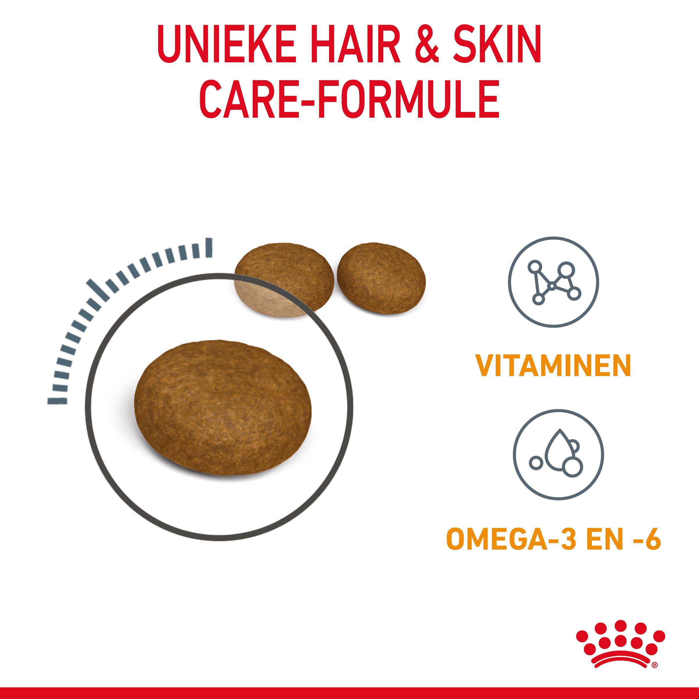 Royal Canin Hair & Skin Care - Kattenvoer - 10 Kilogram - Gevogelte