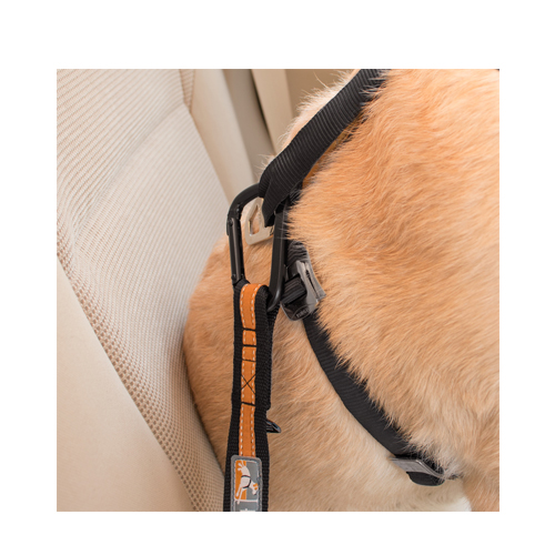 Kurgo Direct To Seat Belt Tether