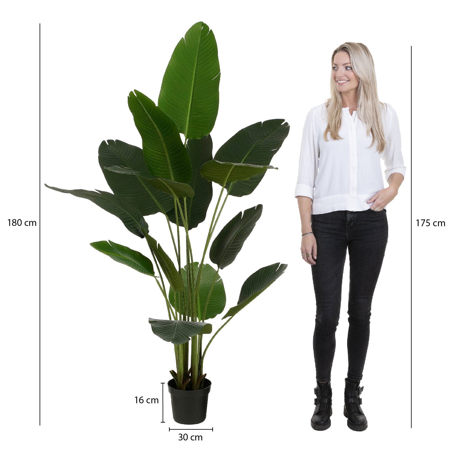 Mica Decorations Bananen boom in pot groen - h180xd30cm