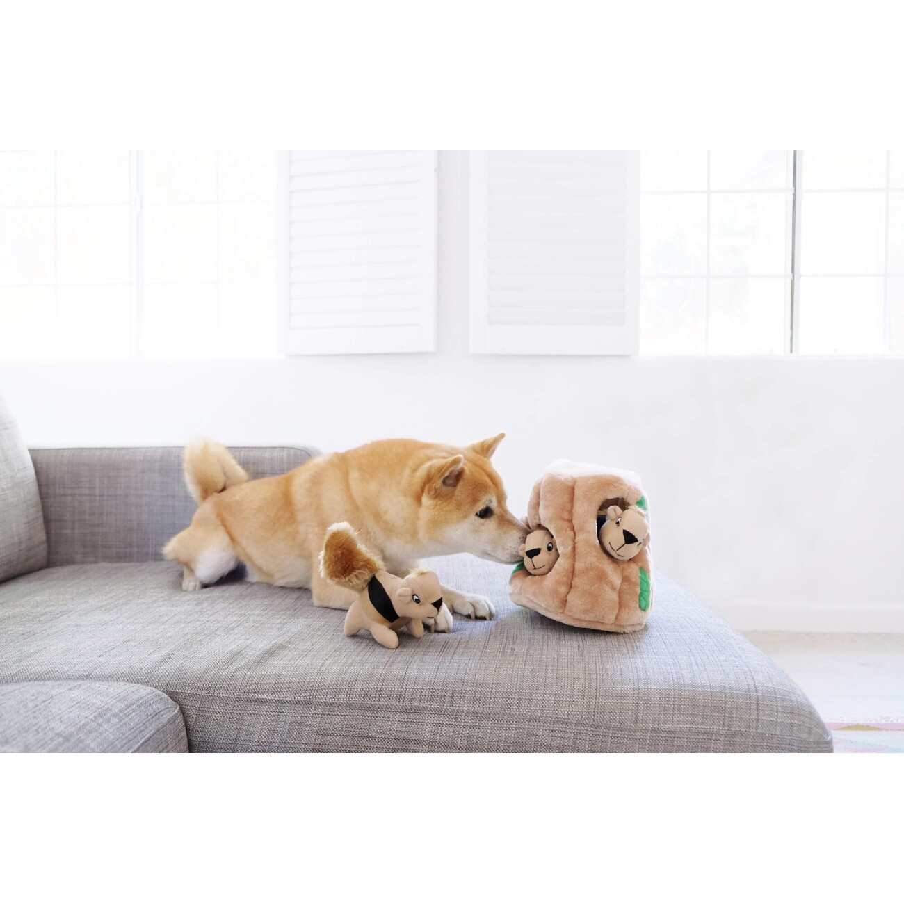 Outward Hound Hide A Squirrel Large