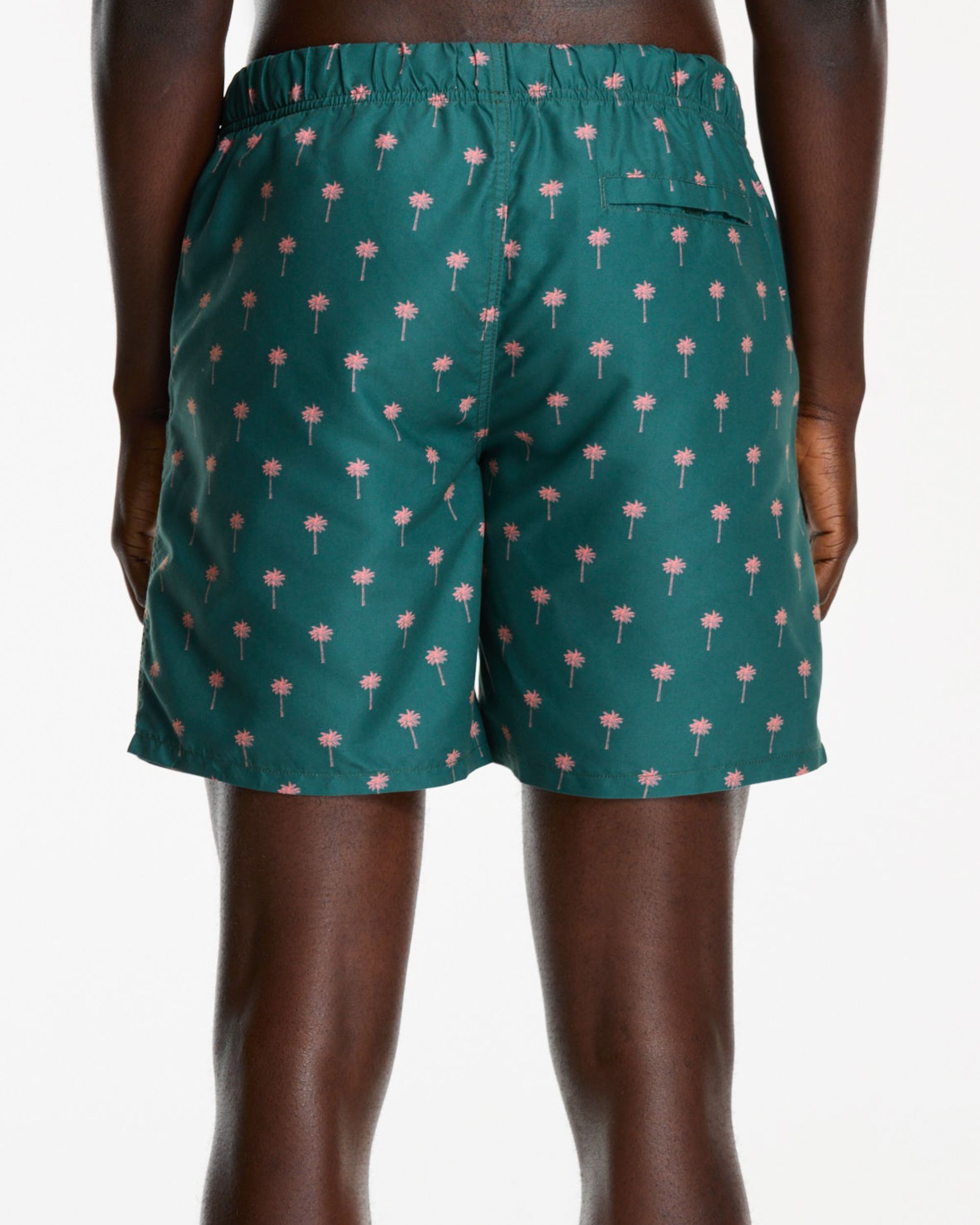 Shiwi Zwemshort