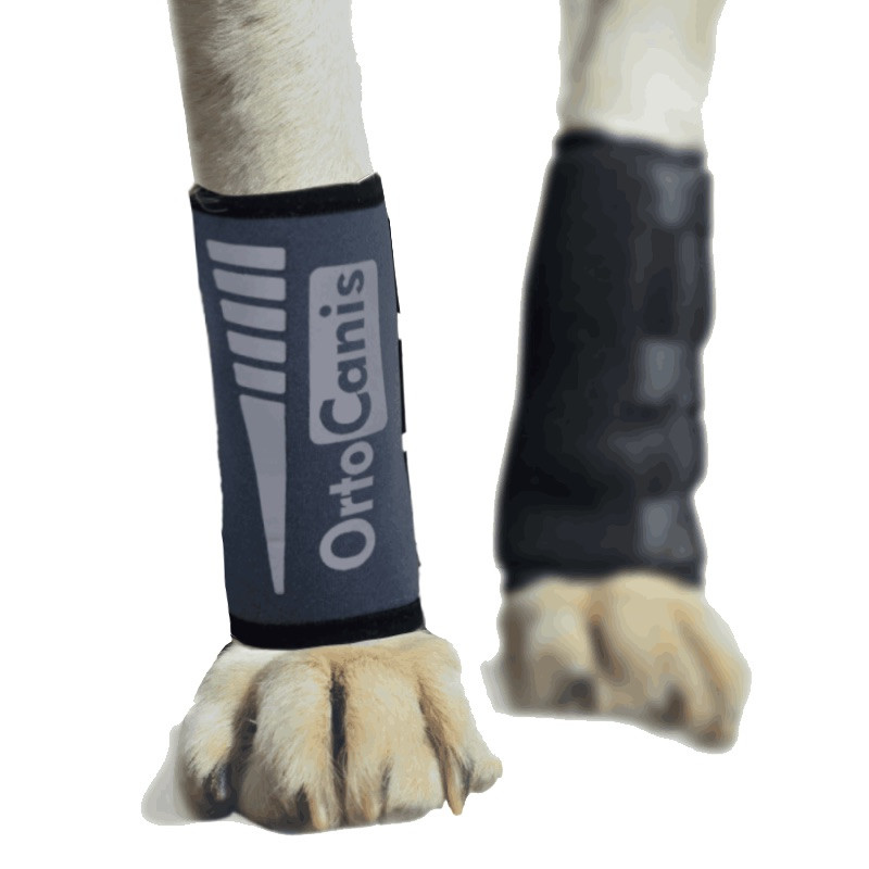 Tala de pulso para cães com osteoartrite, lesões ligamentares ou tendinosas, ou para cães de agility.