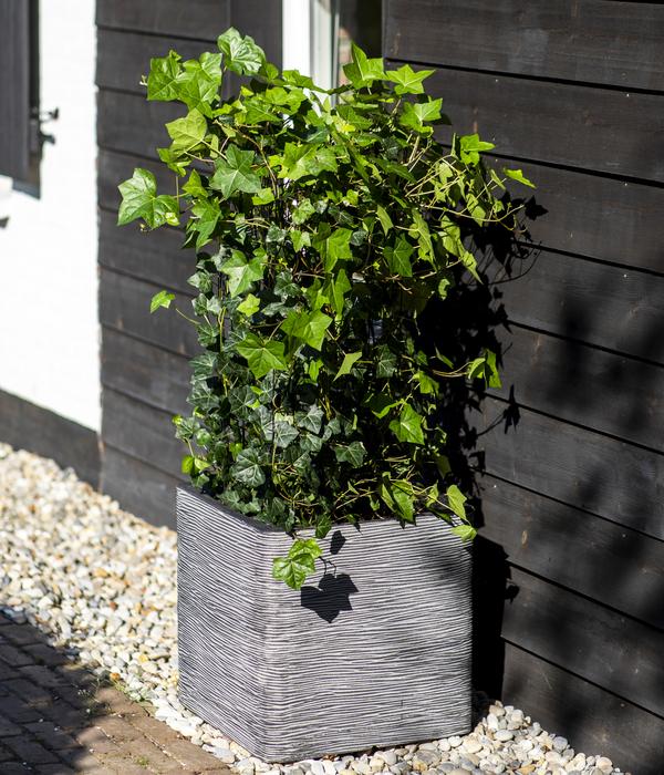 Capi Europe Kunststoff-Topf Rib, quadratisch