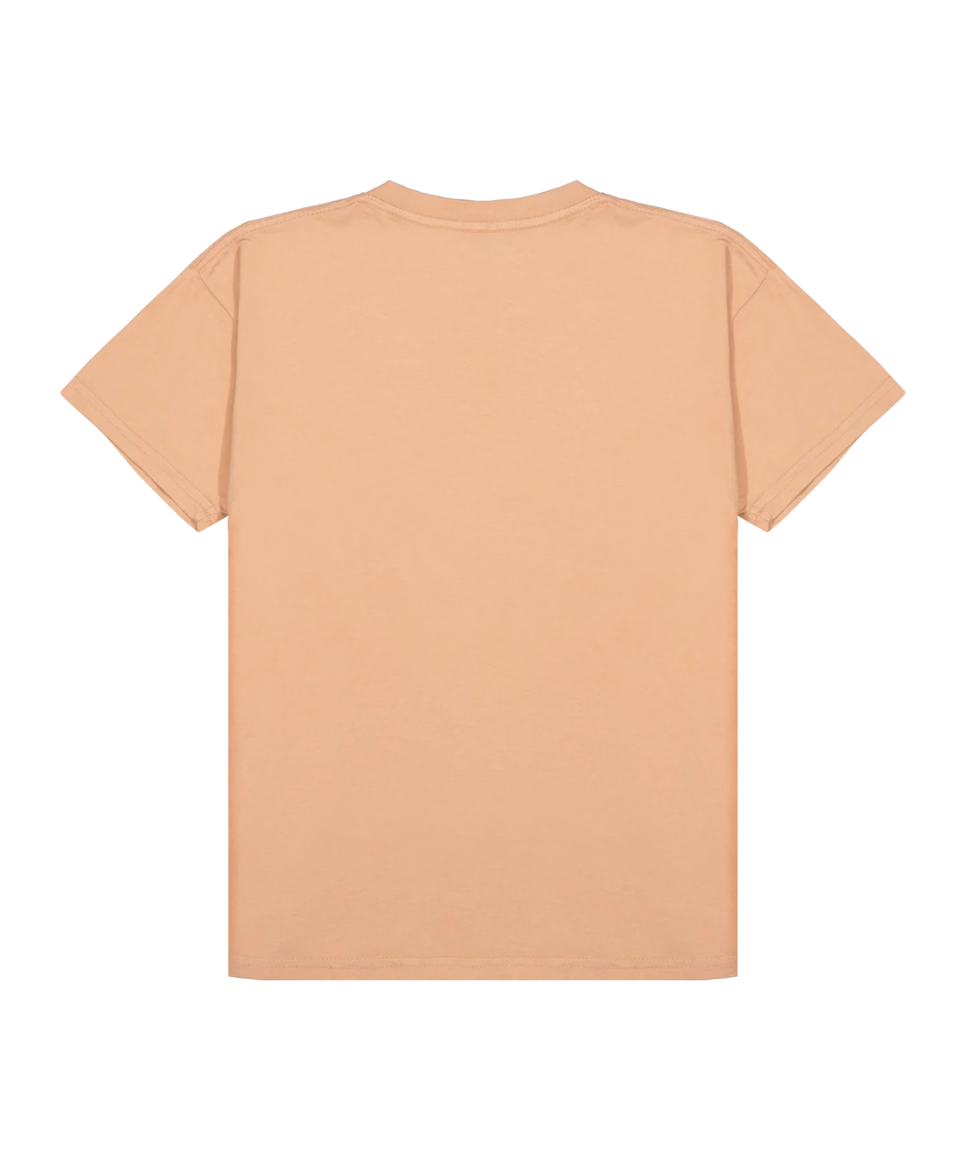Obey Bouquet T-Shirt Damen Braun