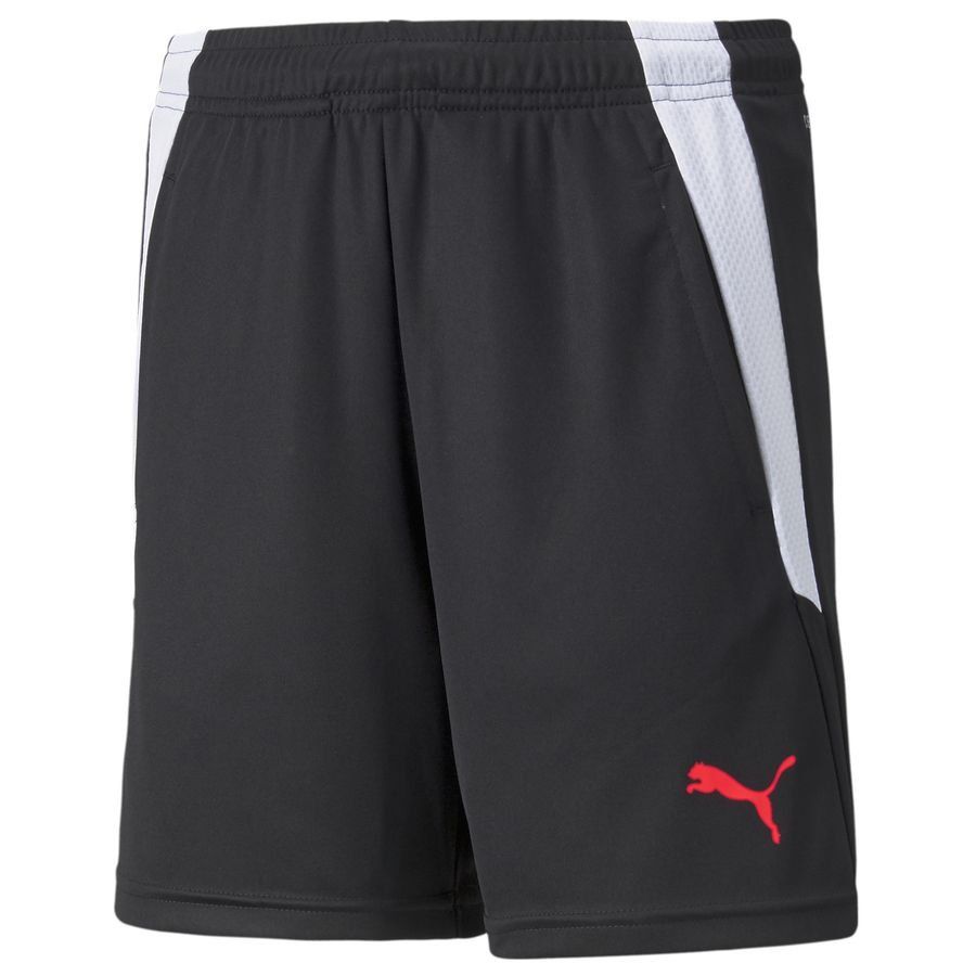 PUMA Short d'Entraînement teamLIGA 2 - Noir Enfant
