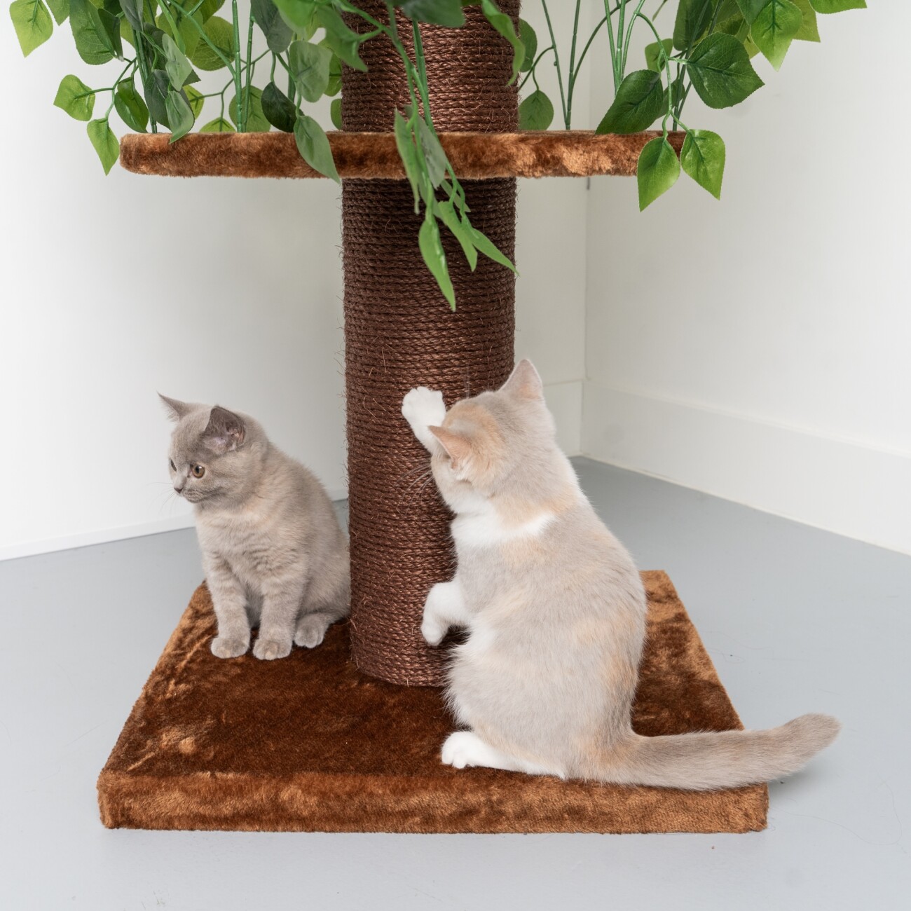 RHR Quality Kratzbaum Design Natural Leaves
