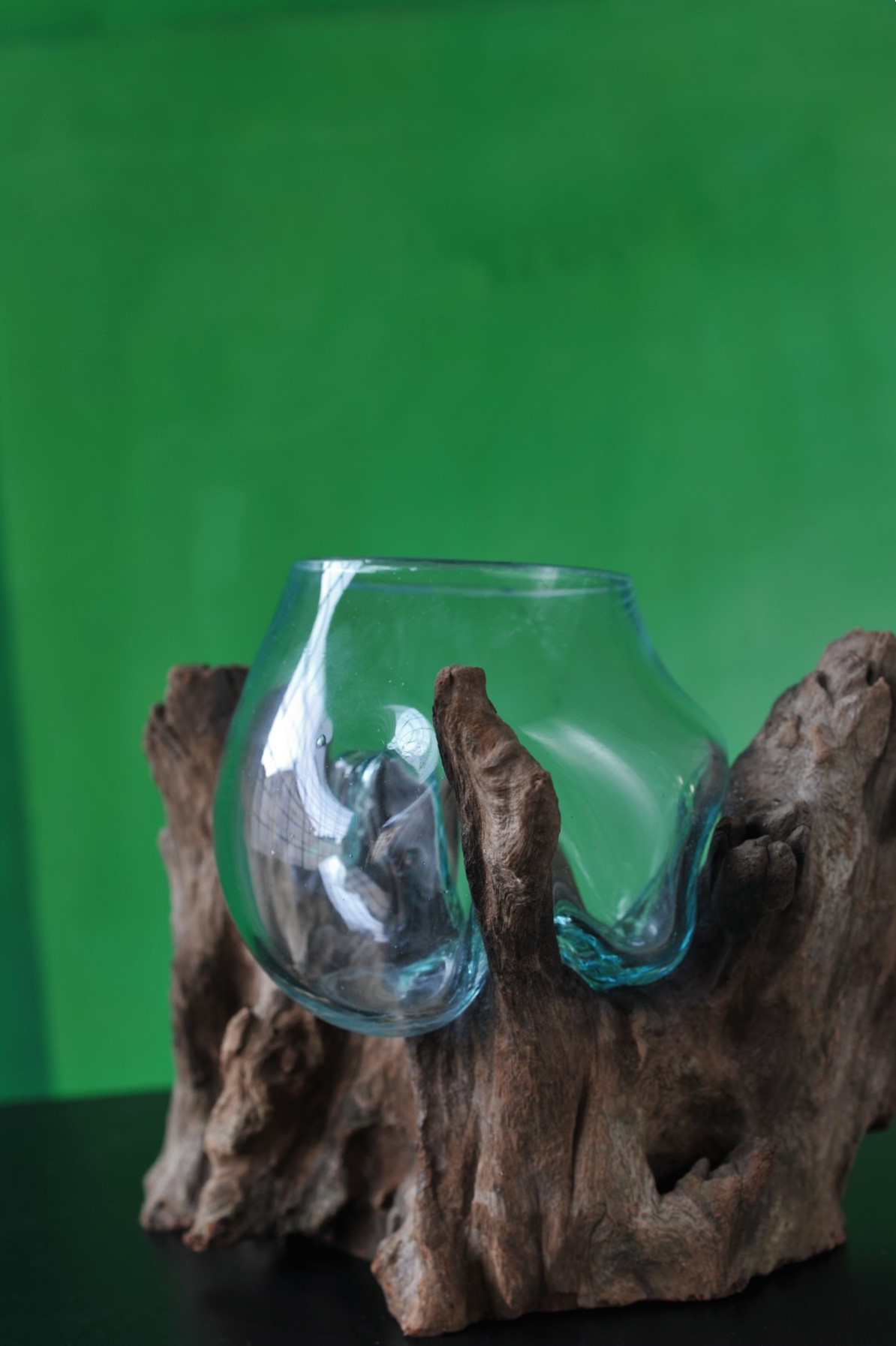Glasvase aus Wurzelholz, natur, T 13 - 20 cm, B 22 - 26 cm, H 20 - 22 cm von fischer's lagerhaus