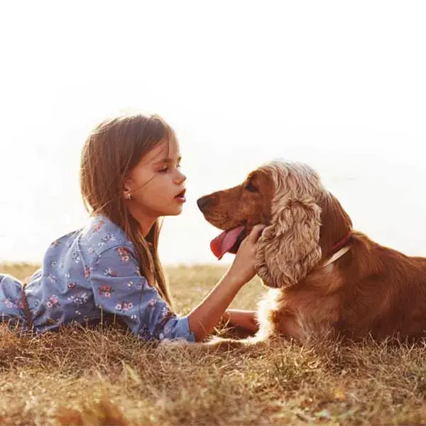 Coleira antipulgas e carrapatos Scalibor para cães de grande porte, 1 unidade