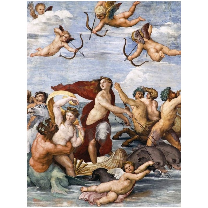 Puzzle 1000 pièces - Raffaello - Le triomphe de Galatée