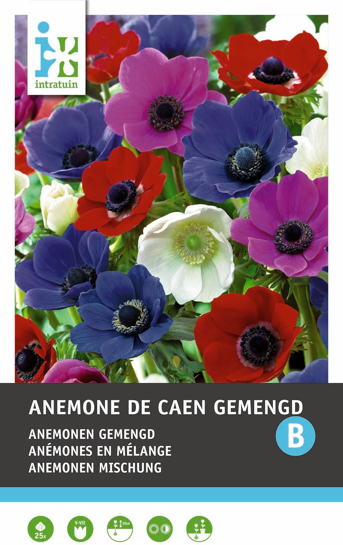 Intratuin bloemknollen Anemoon (Anemone 'De caen') gemengd 25 stuks