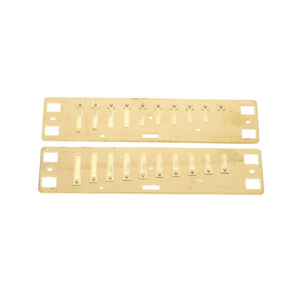 Lee Oskar Harmonic Minor Reedplates F