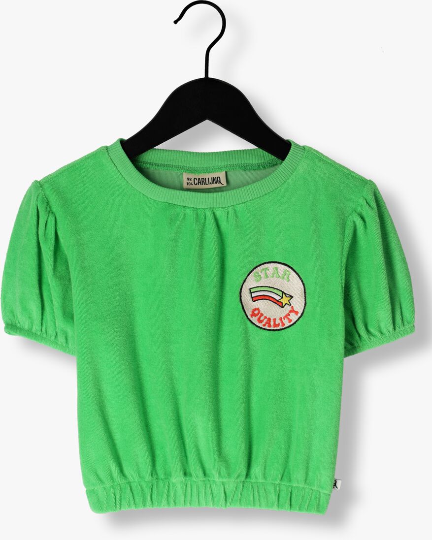 CARLIJNQ groene carlijnq t-shirt basic - puffed hsort sleeve with embroidery