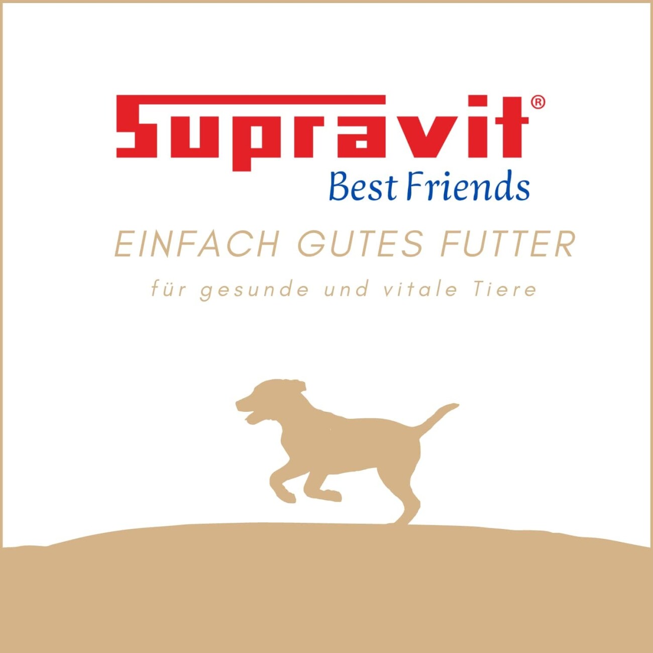 Supravit Ochsenfiesel kurz ca. 20cm 10St. Hundekausnack
