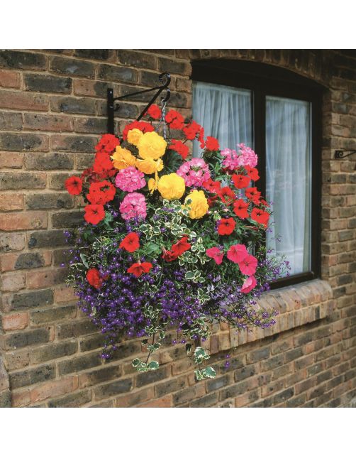 Nature Muurhaak - Ophangen En Haken - 3.1x35.2x28.7 cm Zwart