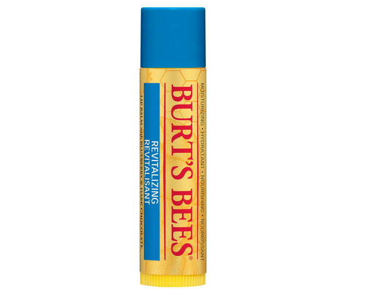 Burt's Bees - Lippenbalsam mit mit Blaubeere und dunkler Schokolad, 4,25g