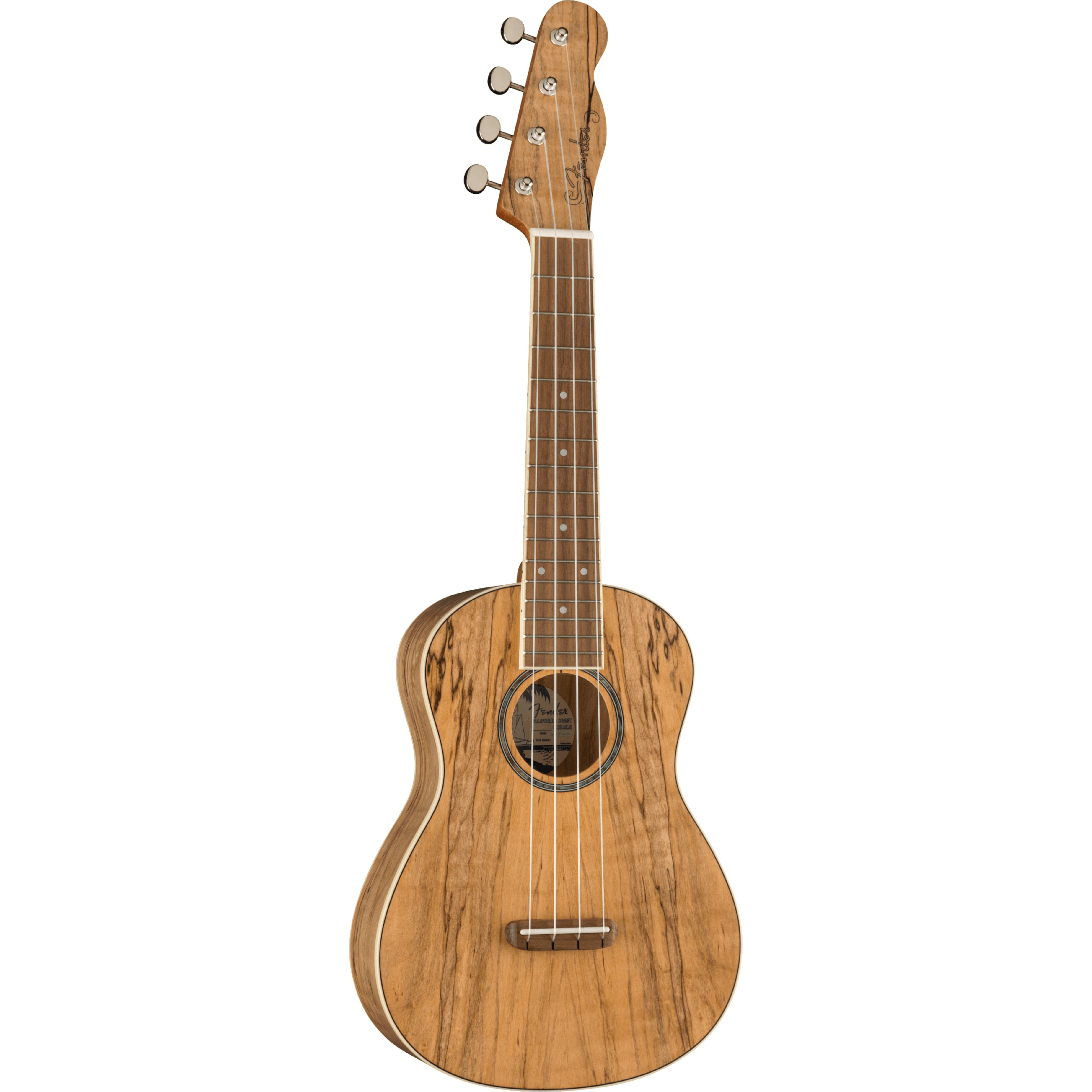 Fender California Coast Zuma Exotic concert ukelele spalted maple