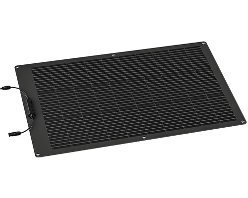EcoFlow Flexibele Zonnemodule 100 W