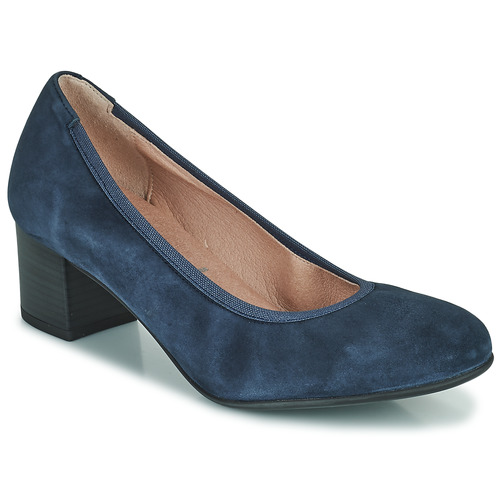 Dorking - GEMINIS - Bleu