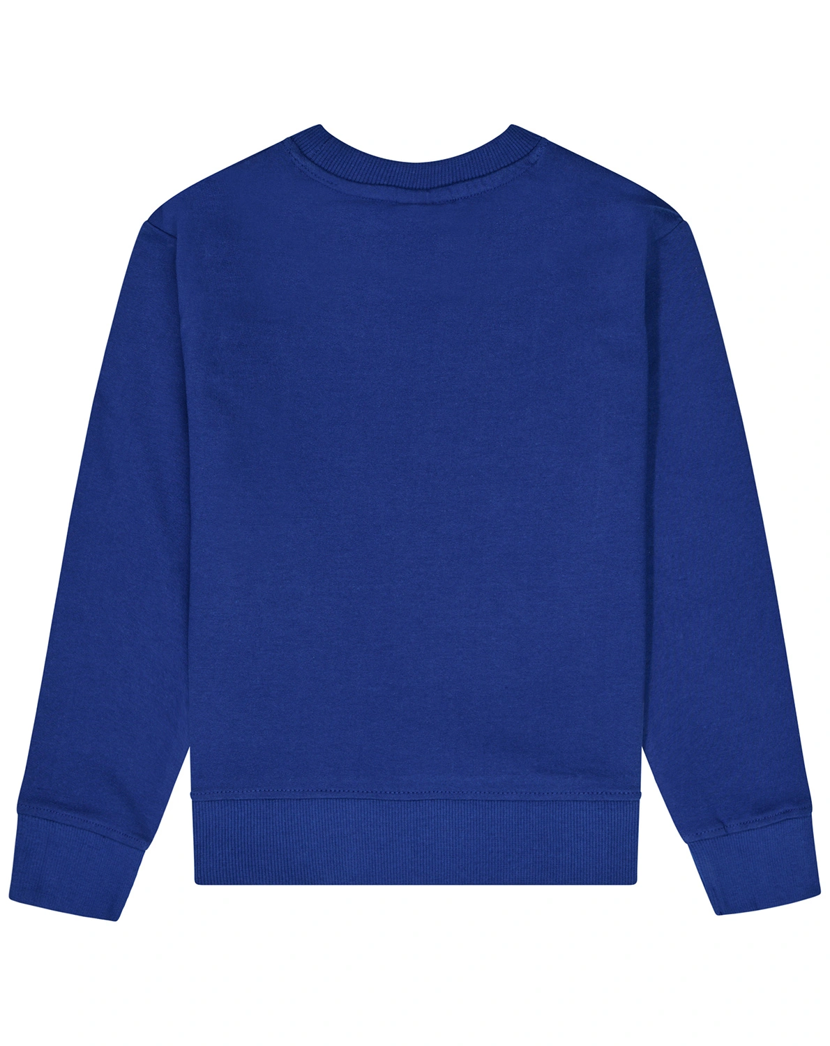 Sweatshirt PAW PATROL - POWER UP in bellwether blue