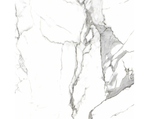 Porseleinen steengoed wand- en vloertegel Calacatta 119,7 x 119,7 x 0,8 cm wit mat gerectificeerd