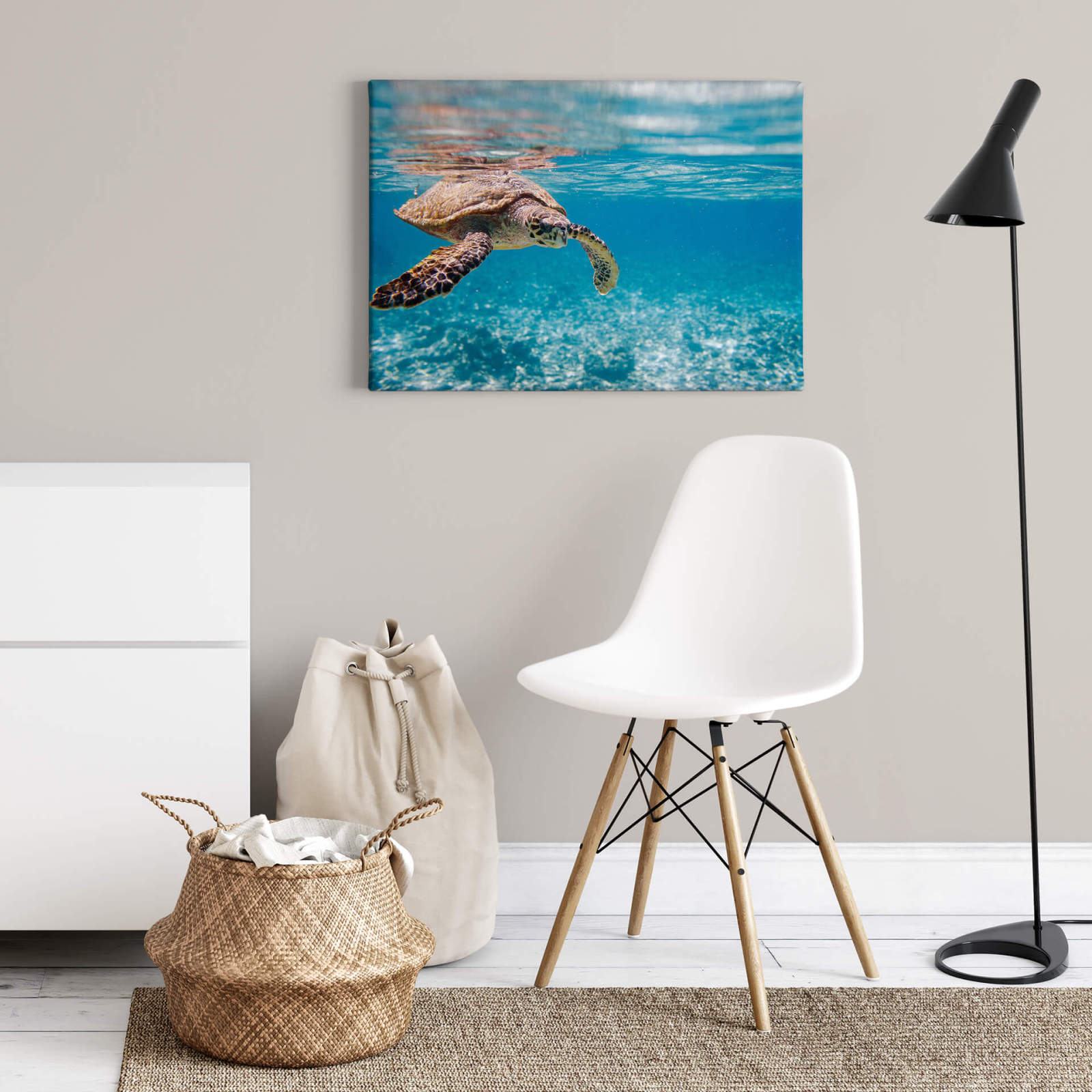 Leinwandbild SCHILDKRÖTE - blau- 70x50 cm