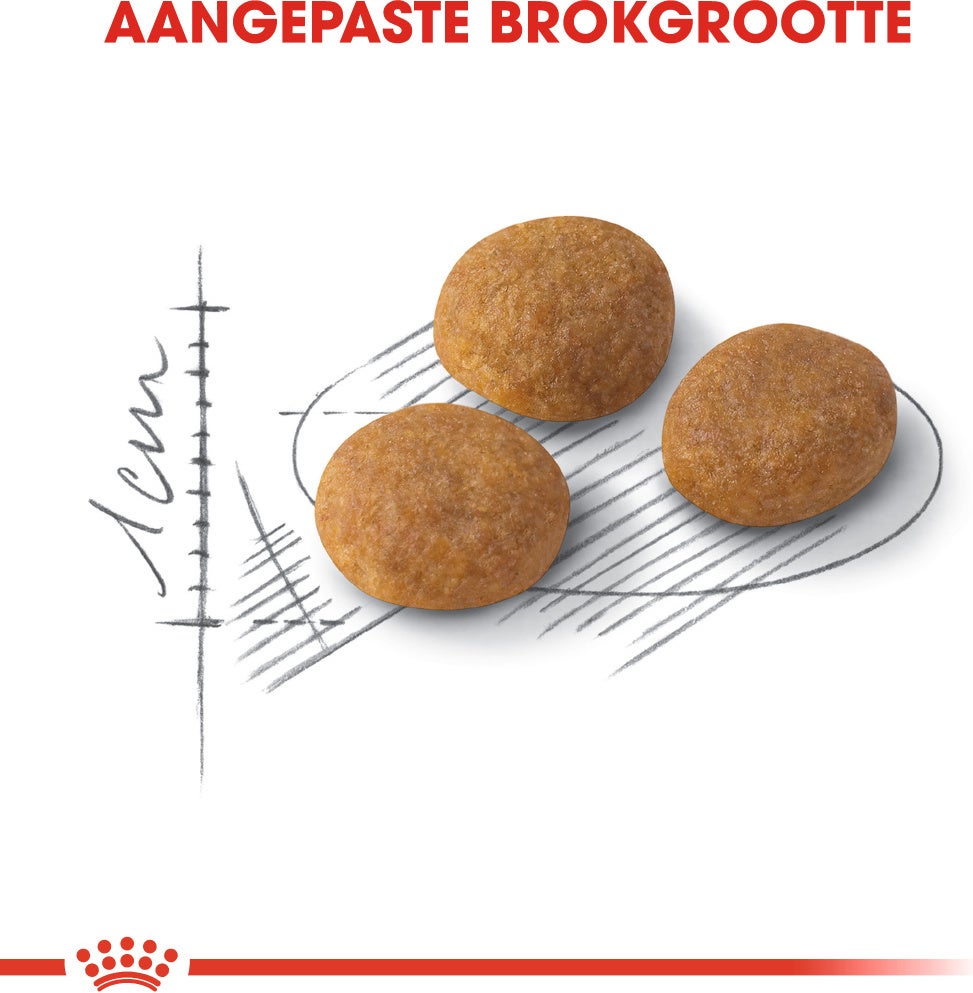 Royal Canin kattenvoer Aroma Exigent 400 g