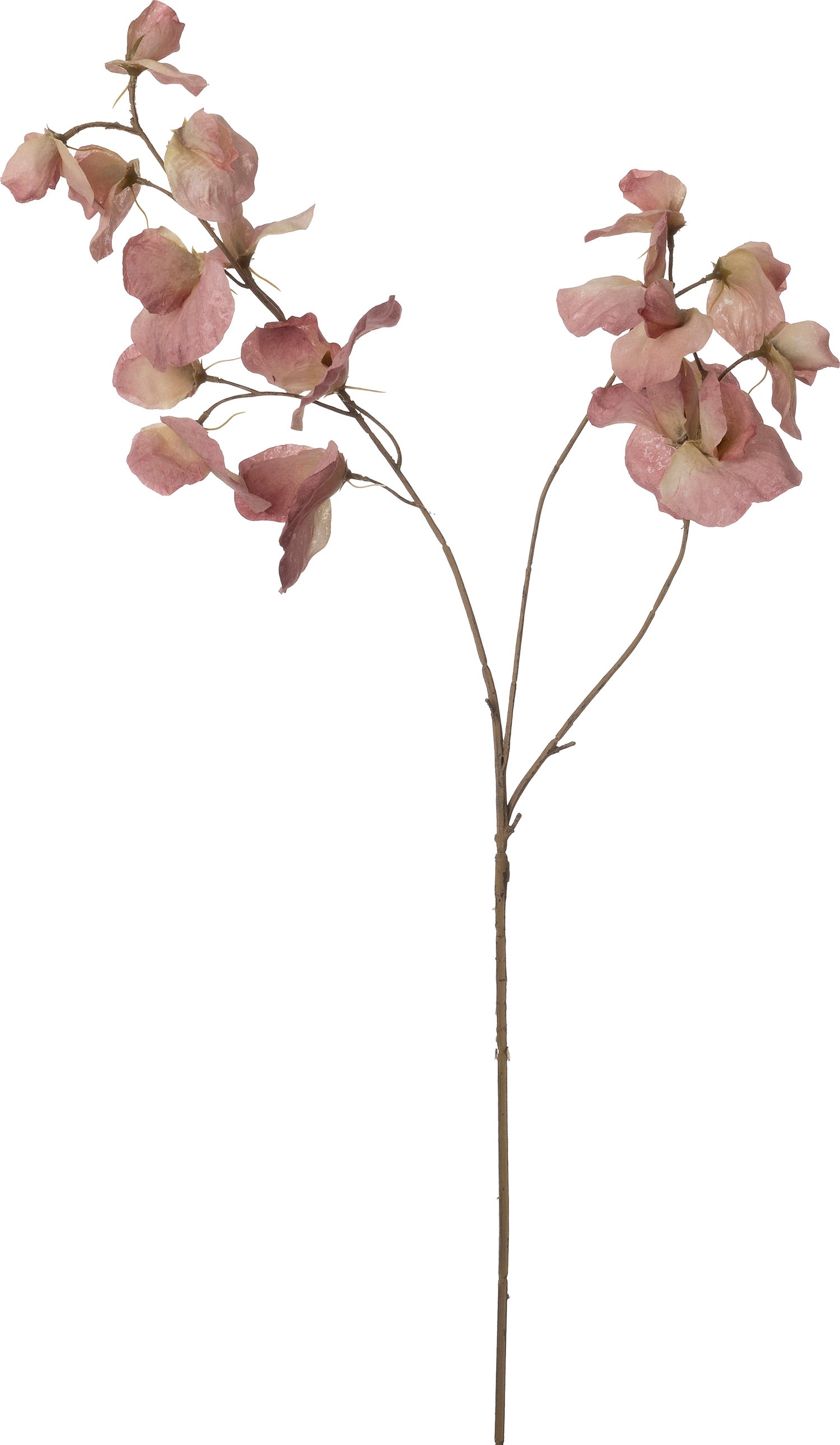 Intratuin kunstbloem Lathyrus roze 72 cm
