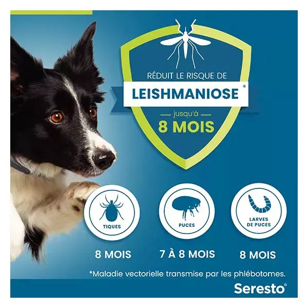 Coleira Seresto para cães grandes com proteção contra pulgas e carrapatos (+8kg), 2 unidades.