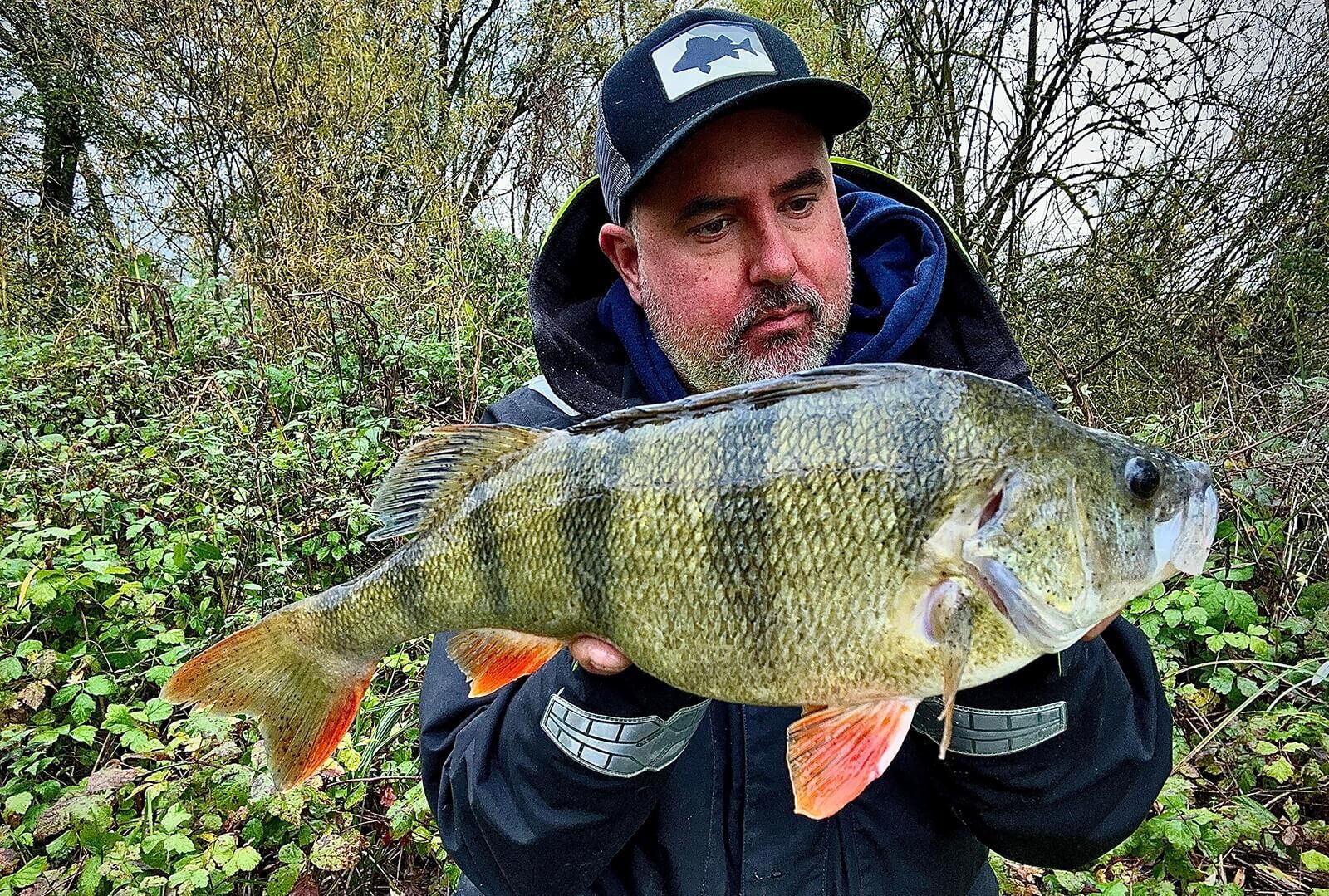 2.75