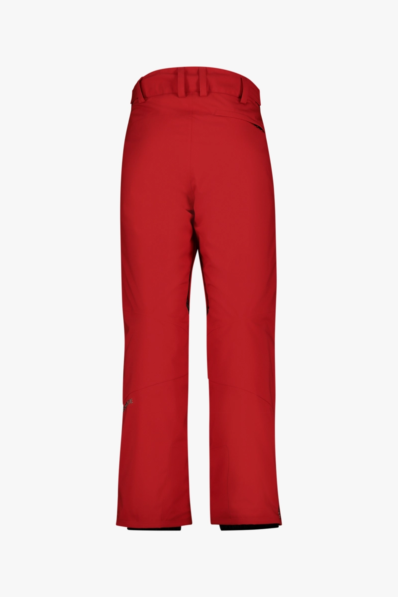descente Stock Herren Skihose