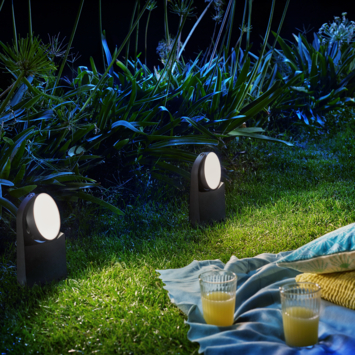 Philips tuinsokkel Mimosa antraciet