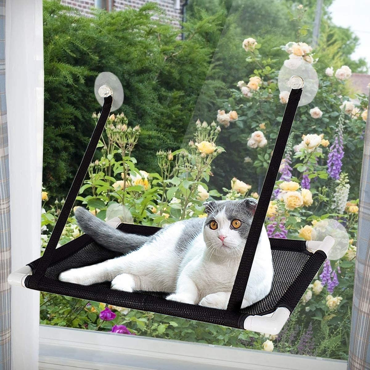 Katzen Hängematte Fensterliege mit Saugnäpfen bis zu 10kg
