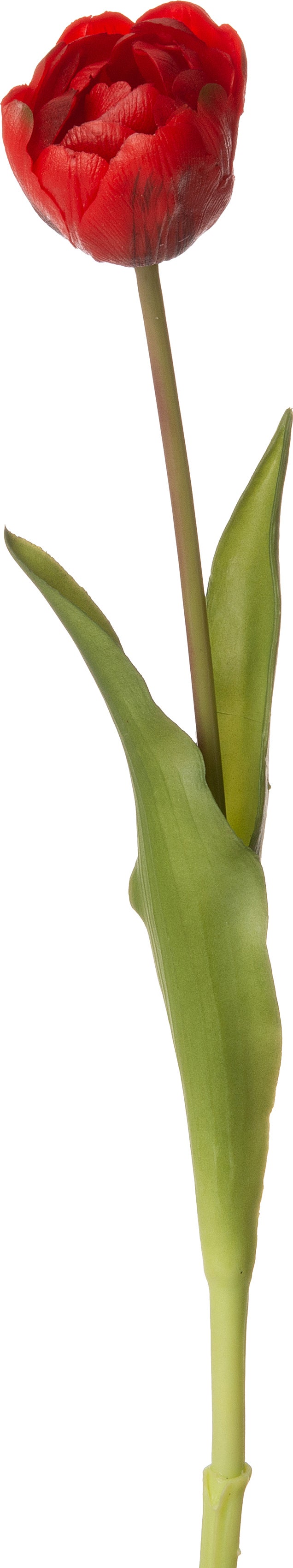Intratuin kunstbloem Tulp rood 39 cm