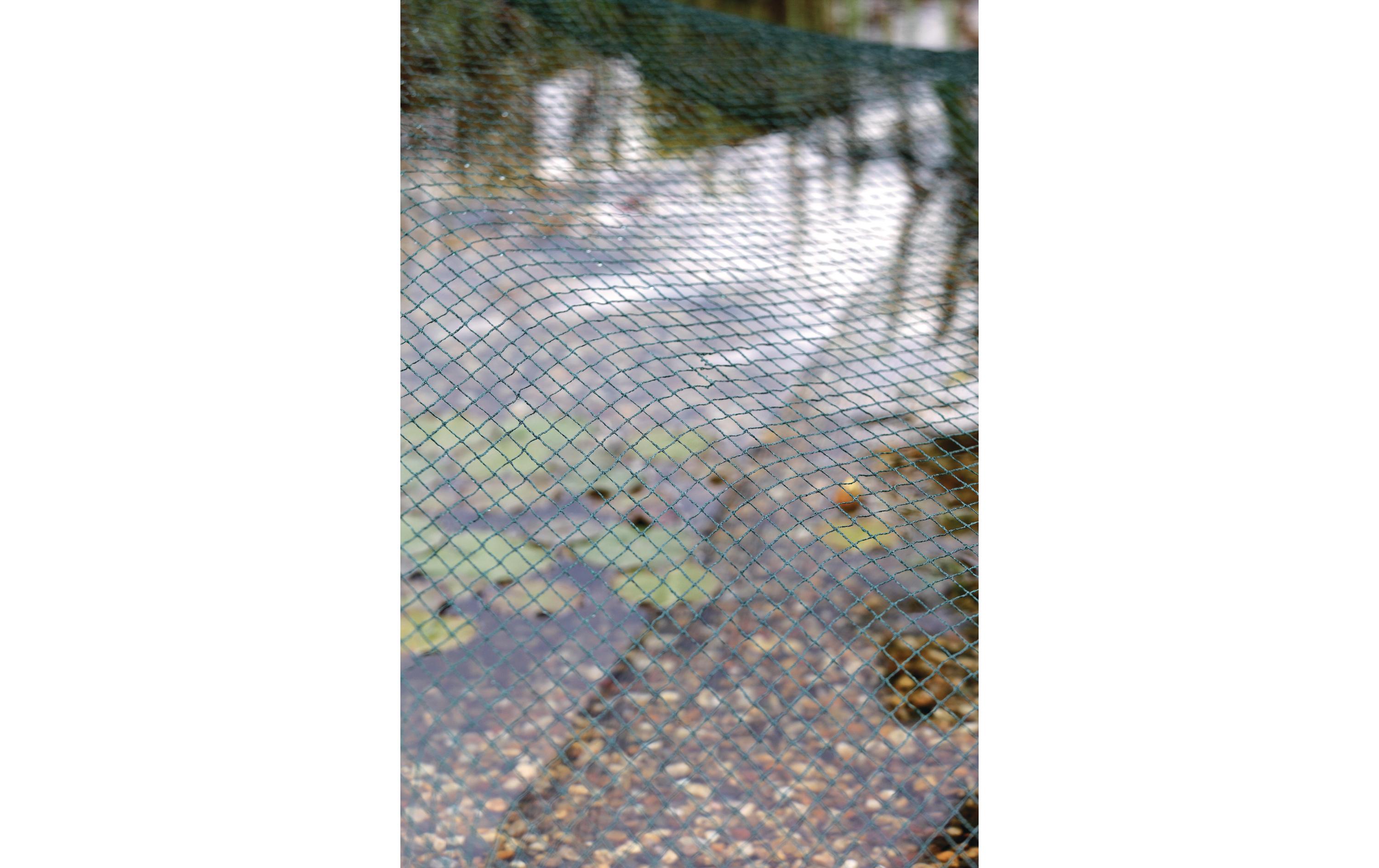 Laubschutznetz 3 x 4 mHohe Wasserqualität ohne Schlamm und Faulgas