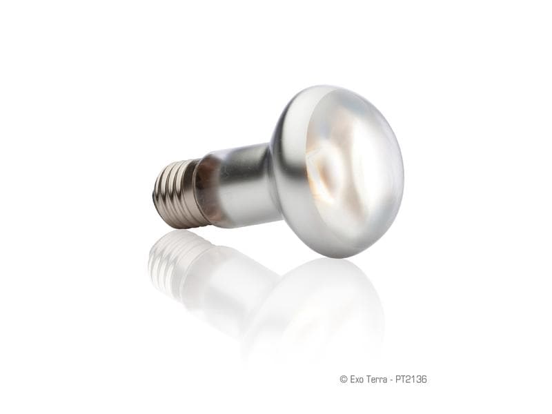 Exo Terra Terrarienlampe Intense Basking Spot E27, R20/75W Wärmespotlampe