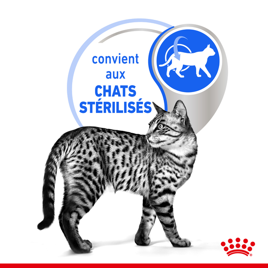 Gelée chat d'intérieur de 7 à 12 ans Indoor 7+ 12x85g