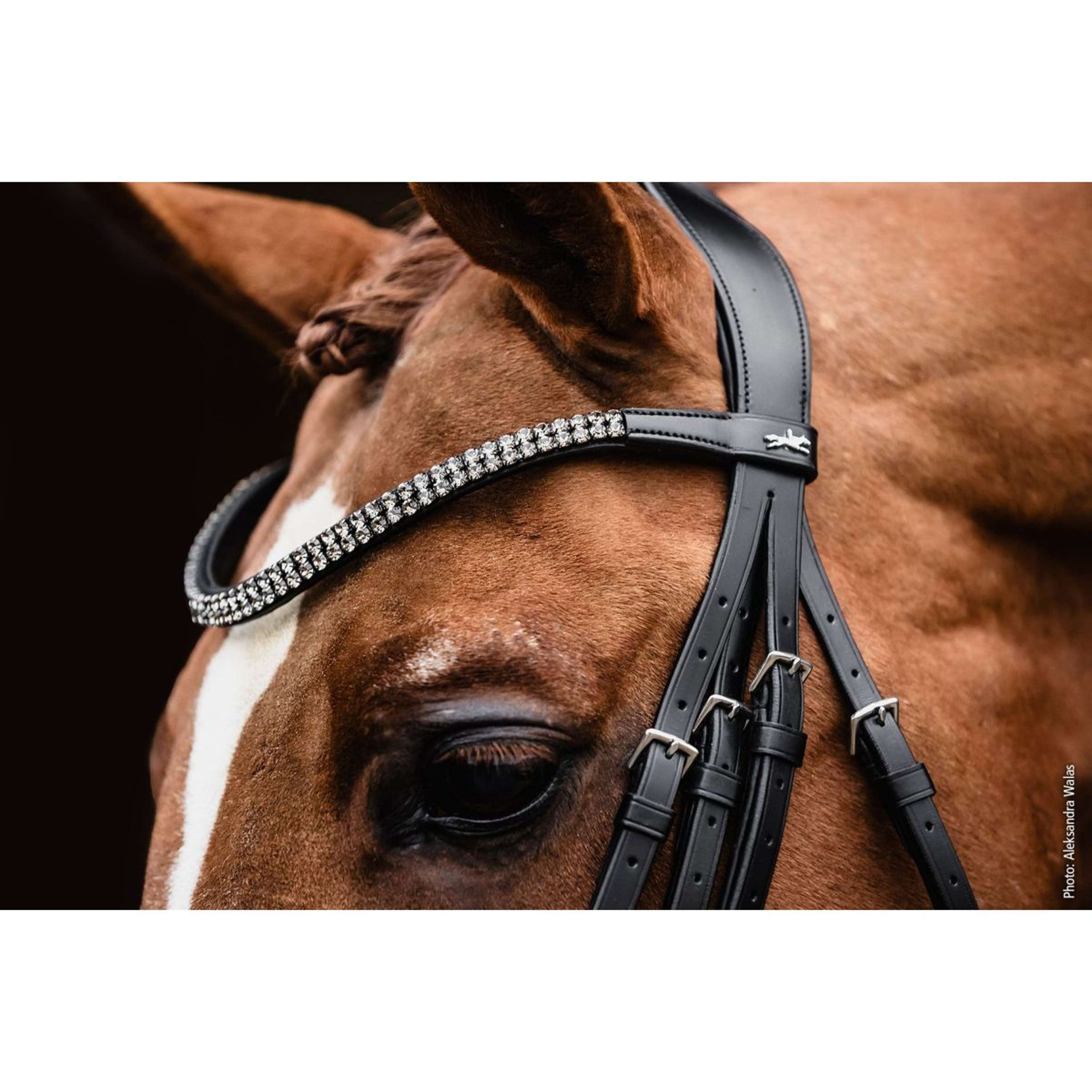 Schockemöhle Stang en Trens Hoofdstel Monticelli Zwart/Zilver
