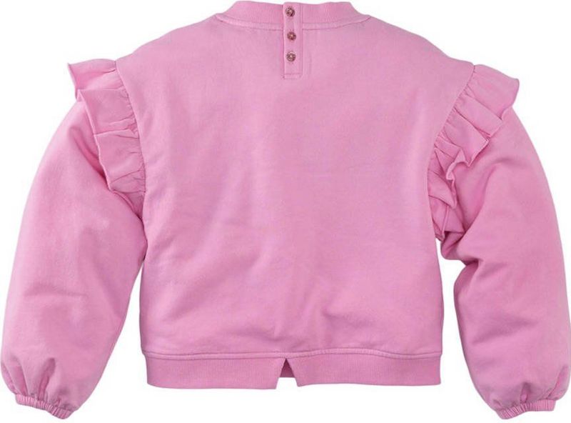 Z8 - Charelle - Kids Sweater - Roze - Met Ruches
