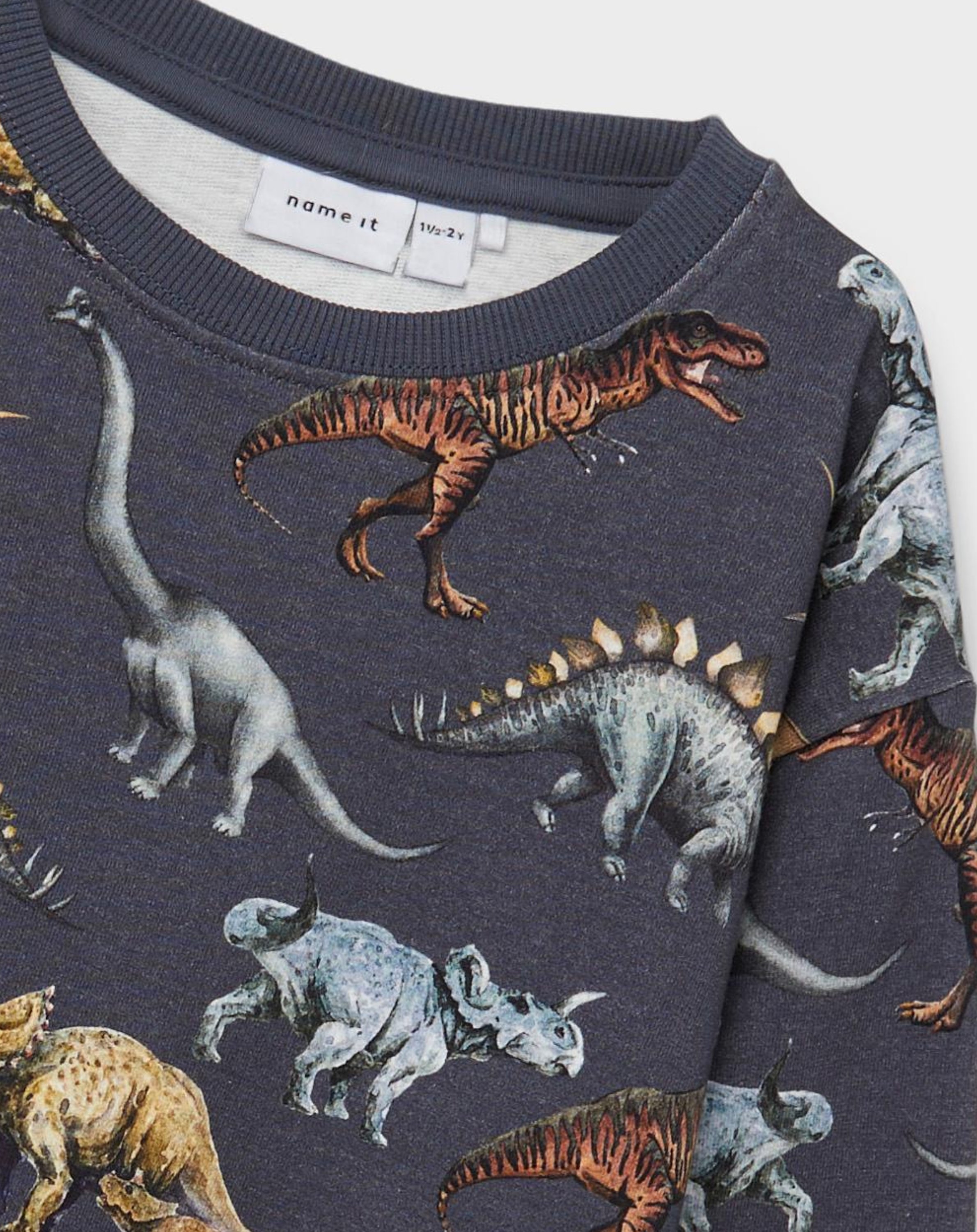 Sweatshirt NMMDJURS DINOS in wild wind