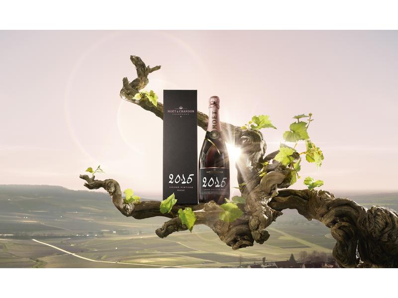Moët & Chandon Grand Vintage Rosé 2015 0.75 l Prickelnder Schaumwein aus Frankreich