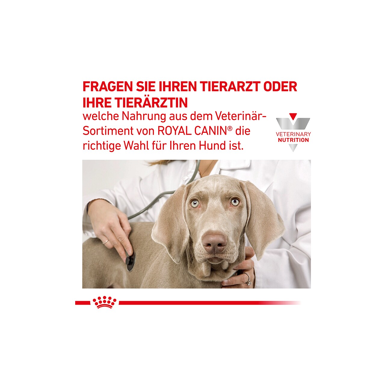 ROYAL CANIN Veterinary HEPATIC 1,5 kg
