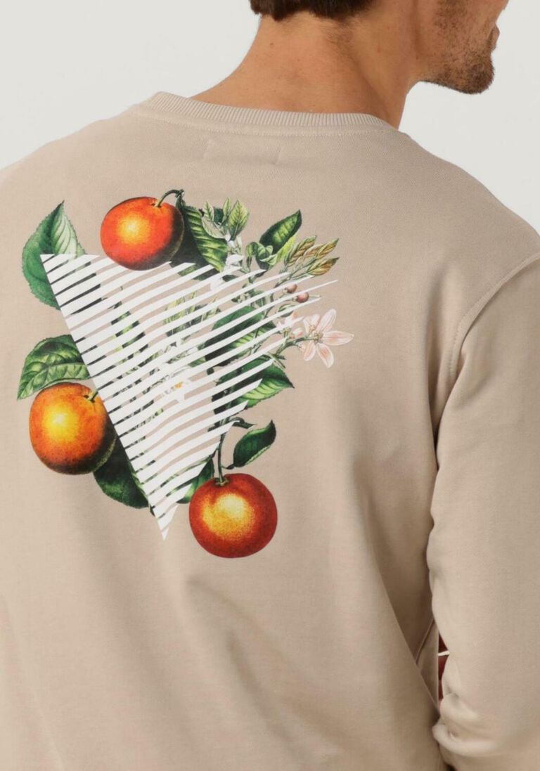 PURE PATH zand pure path trui crewneck with fnt and back print