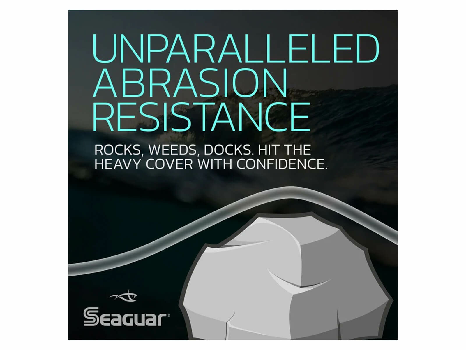 22.8 m SEAGUAR GOLD LABEL Fluorocarbon Vorfach
