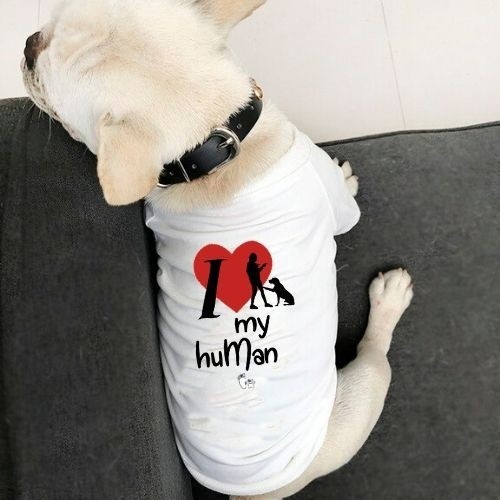 Camiseta personalizável 
