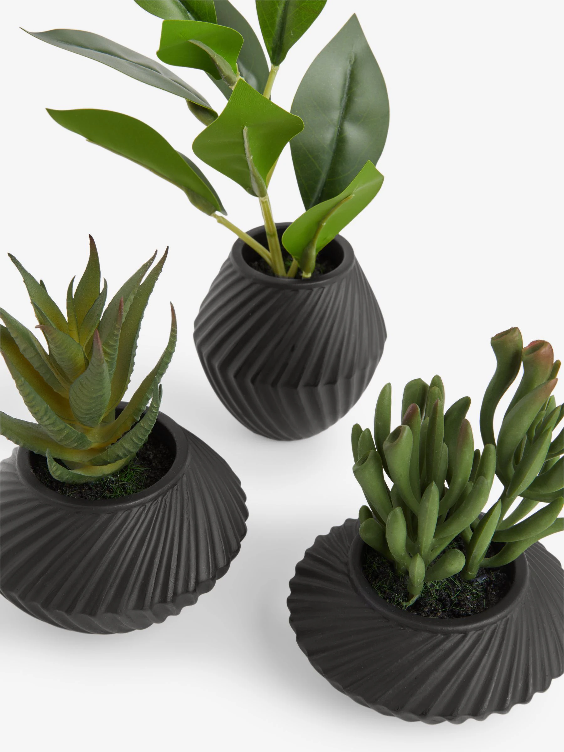 Set of 3 Artificial Succulents In Black Bronx Pots