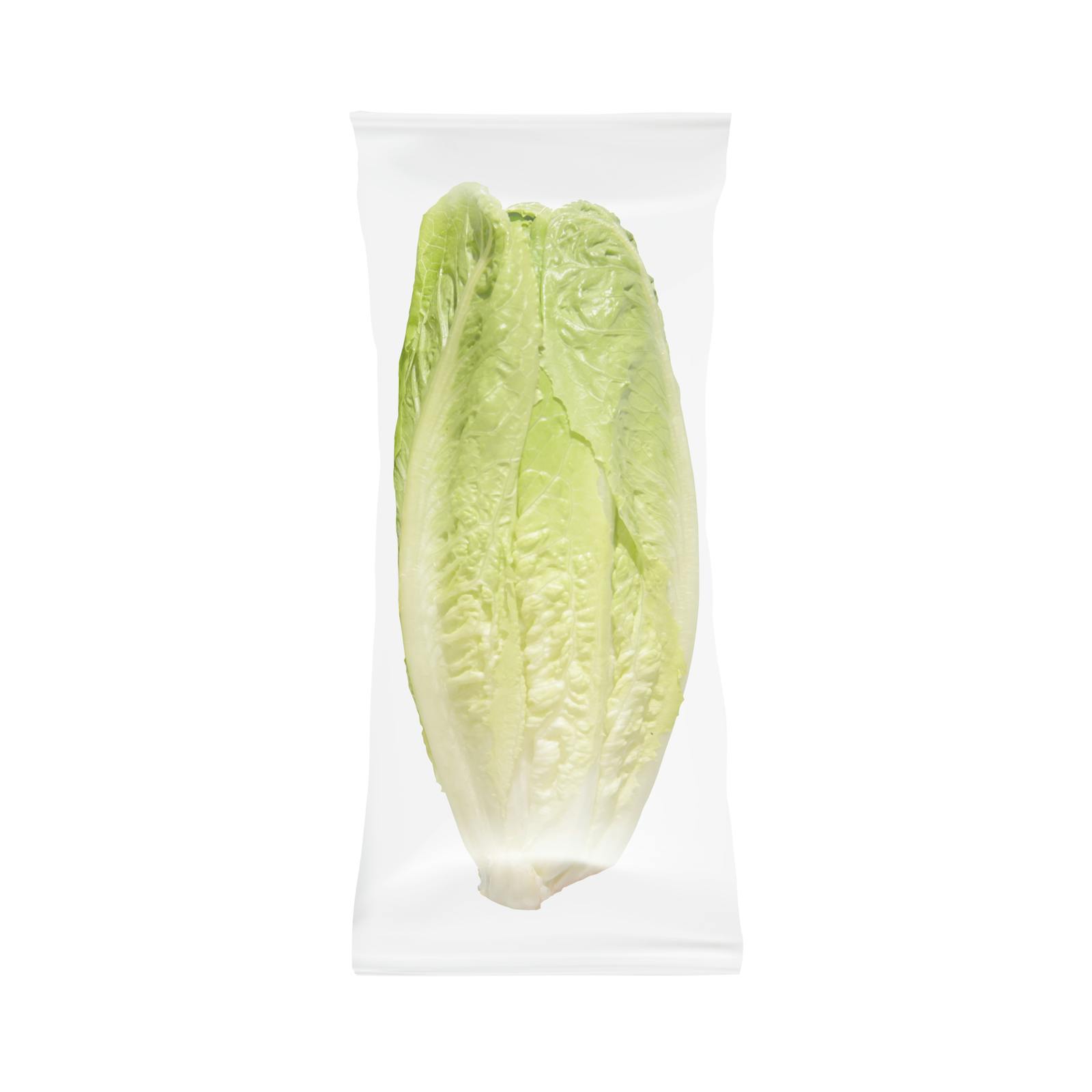Laitue romaine coeur